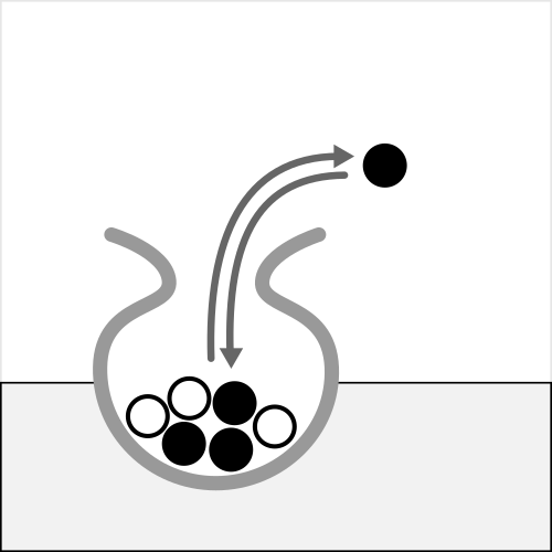 bootstrapping with replacement